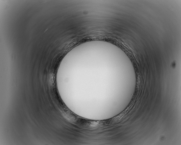 X0000100360130200806060831