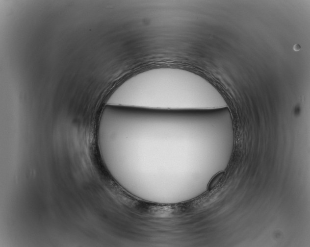 X0000100360131200806060831
