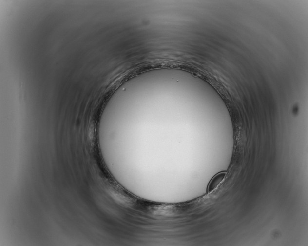 X0000100360132200806060831