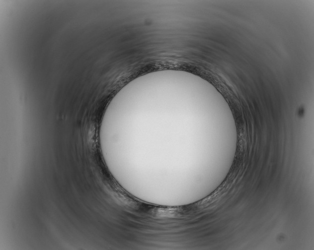 X0000100360134200806060831