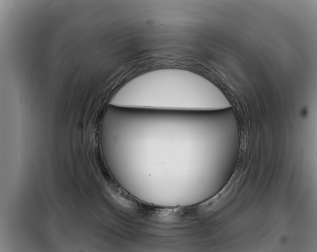 X0000100360136200806060831