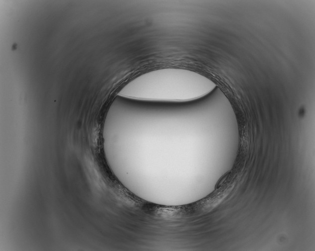 X0000100360139200806060831