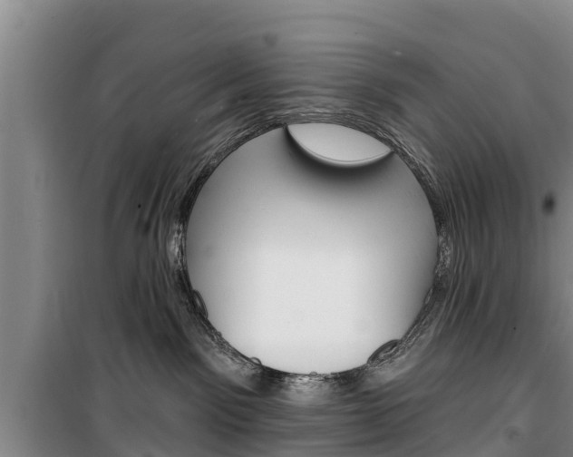X0000100360141200806060831