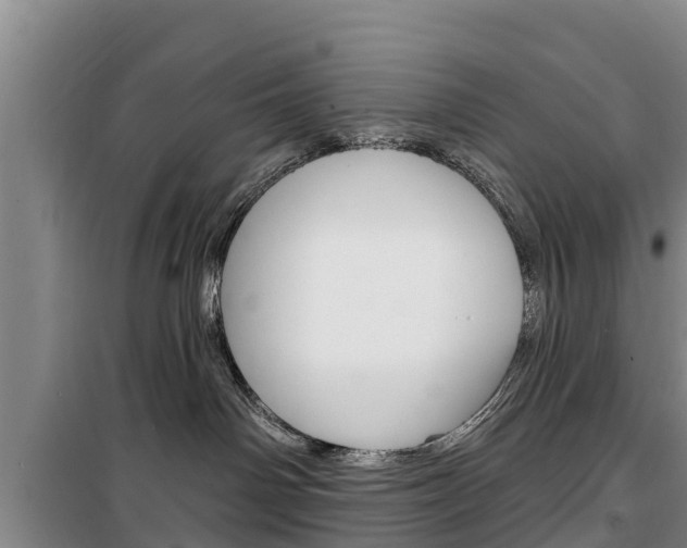 X0000100360142200806060831