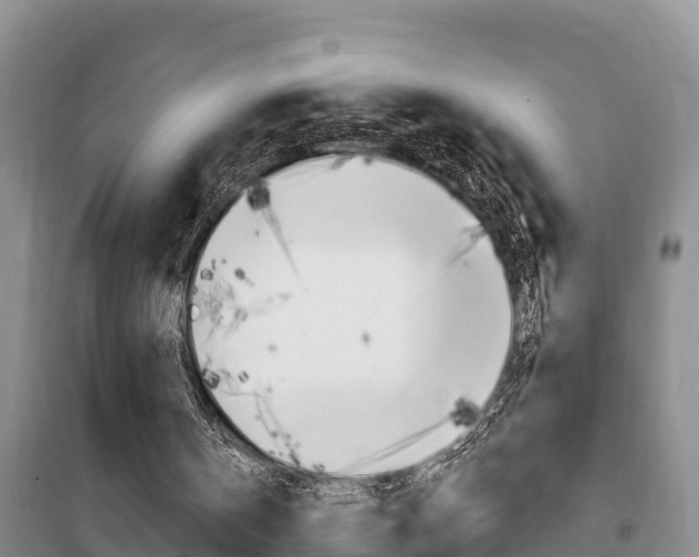 X0000100360146200806060831