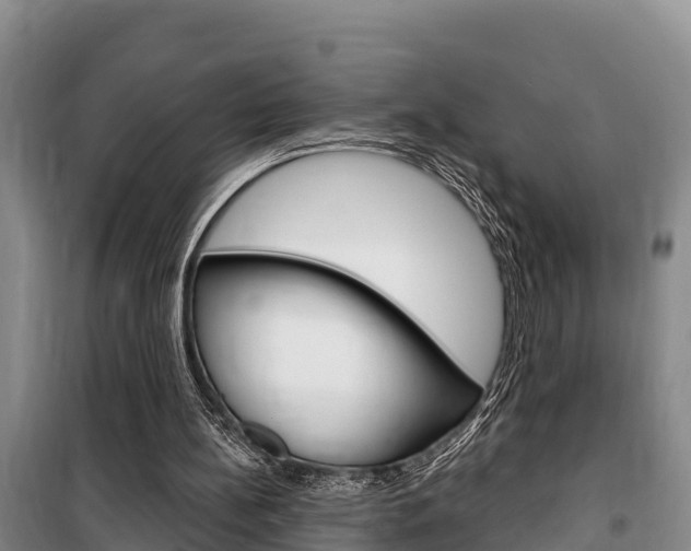 X0000100360148200806060831