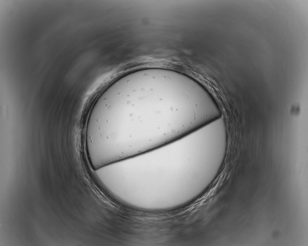 X0000100360149200806060831