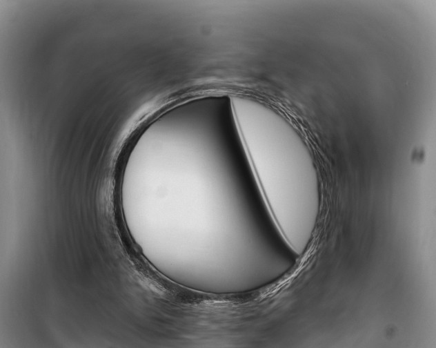 X0000100360150200806060831