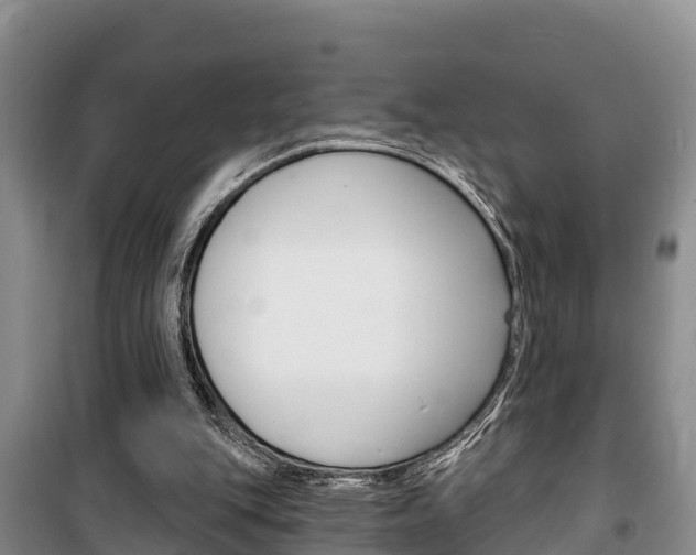 X0000100360151200806060831