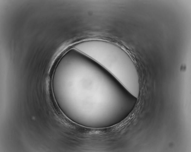 X0000100360152200806060831