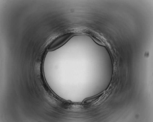 X0000100360154200806060831