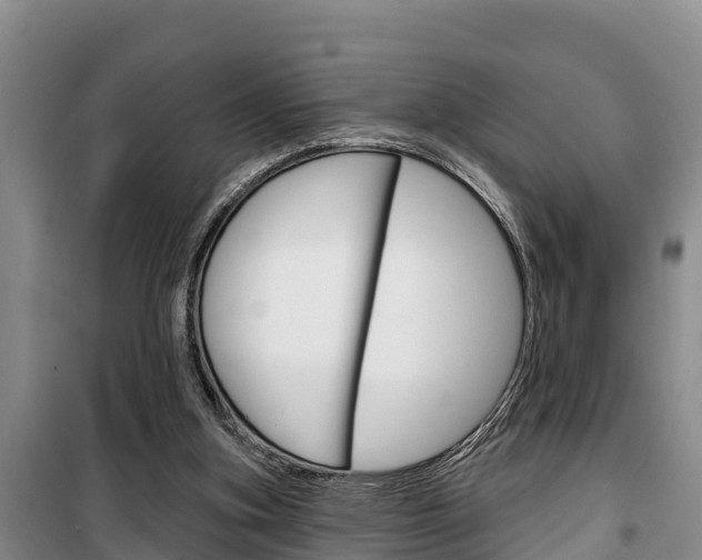 X0000100360155200806060831
