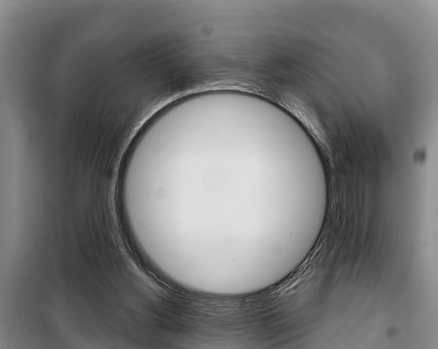 X0000100360156200806060831