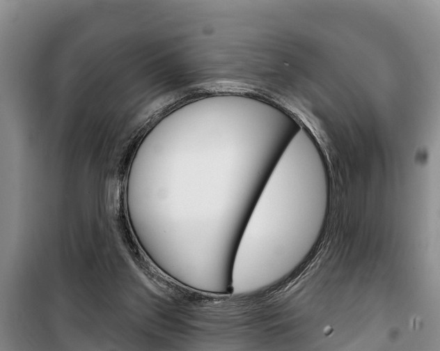 X0000100360157200806060831