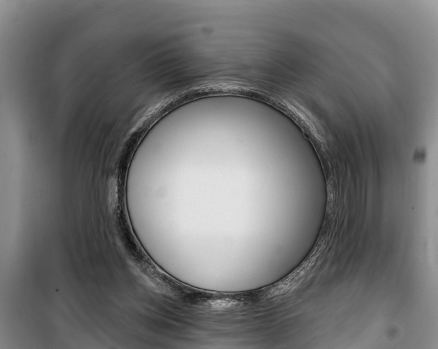 X0000100360158200806060831