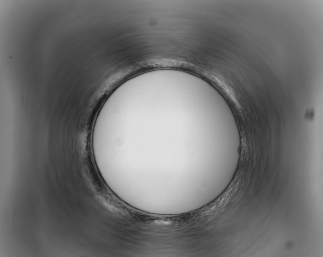 X0000100360159200806060831