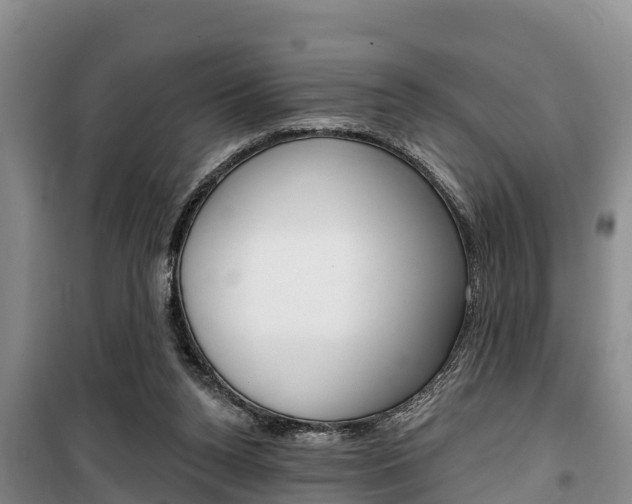 X0000100360160200806060831