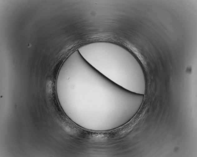 X0000100360161200806060831