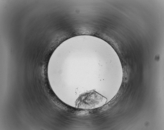 X0000100360162200806060831