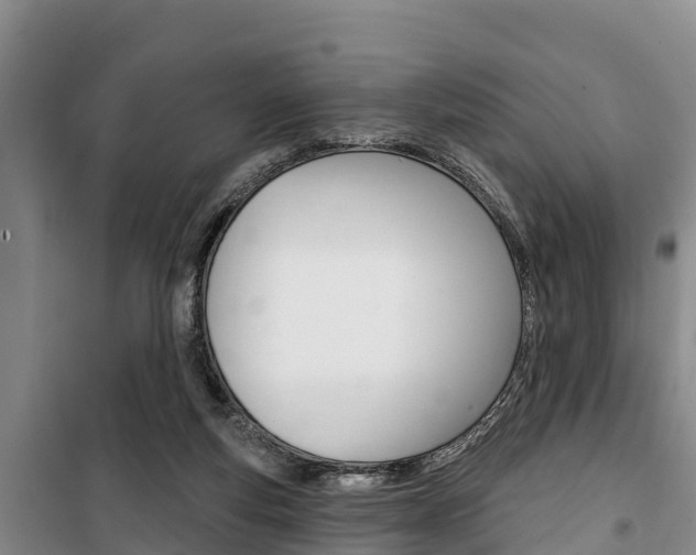X0000100360163200806060831