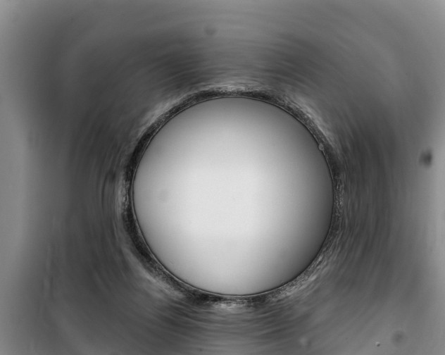 X0000100360164200806060831