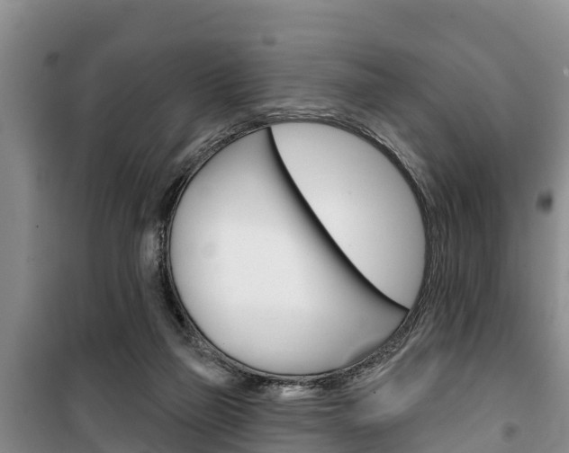 X0000100360165200806060831