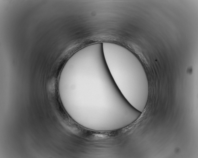 X0000100360167200806060831