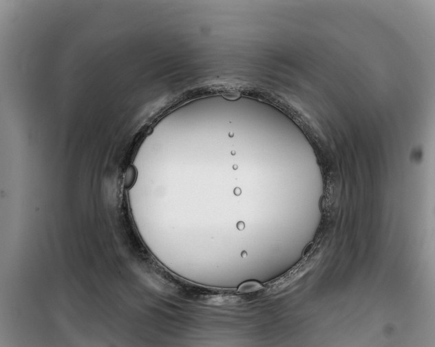 X0000100360168200806060831