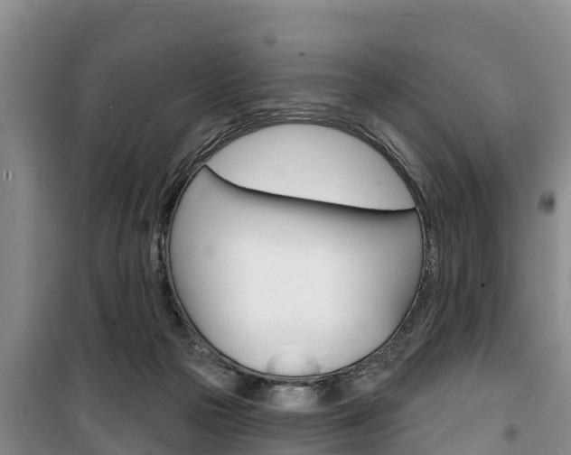 X0000100360169200806060831