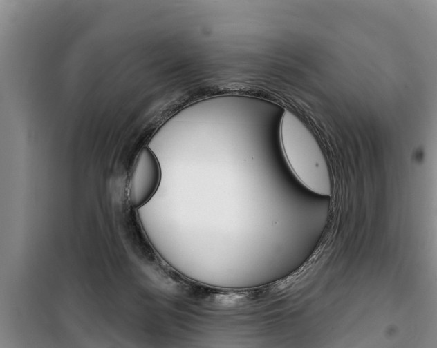 X0000100360172200806060831