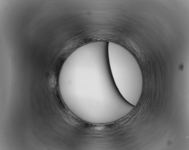 X0000100360173200806060831