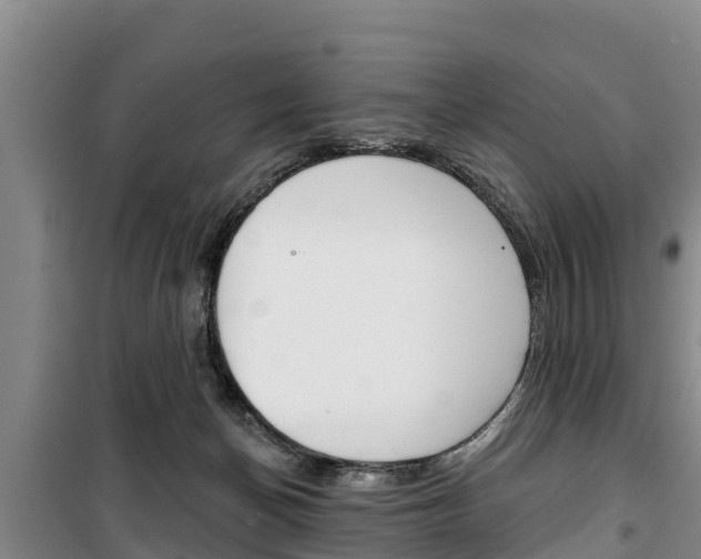 X0000100360174200806060831