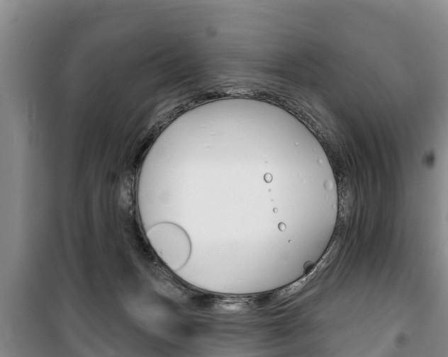 X0000100360175200806060831