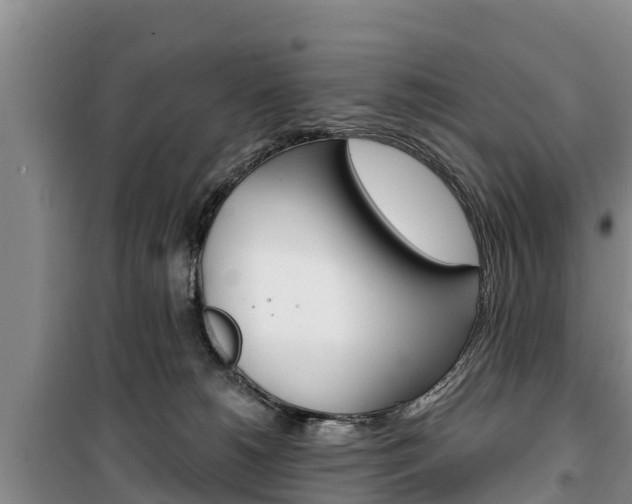 X0000100360180200806060831