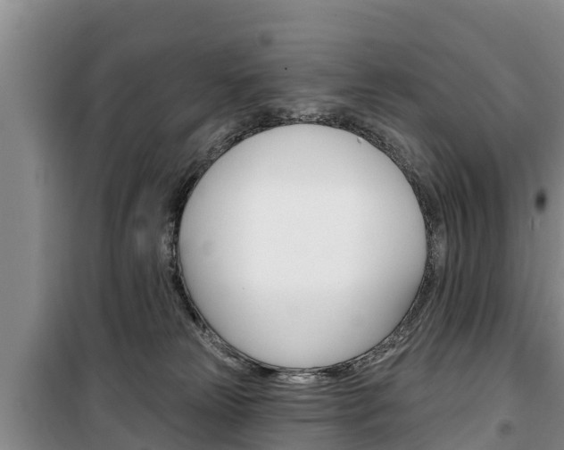 X0000100360181200806060831