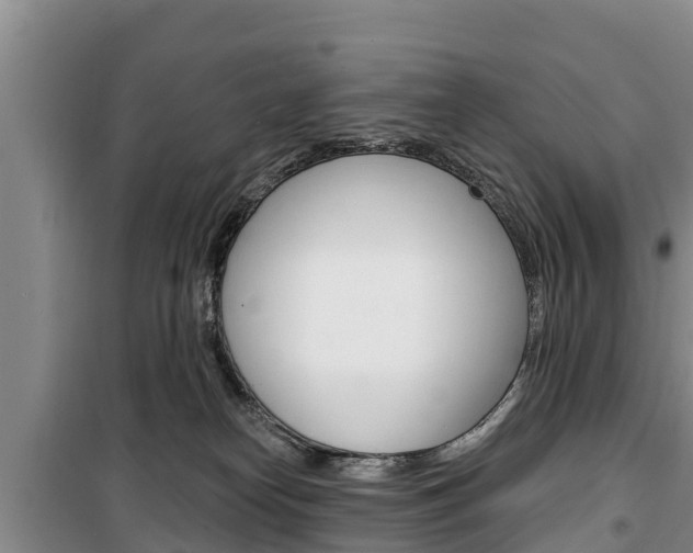 X0000100360182200806060831