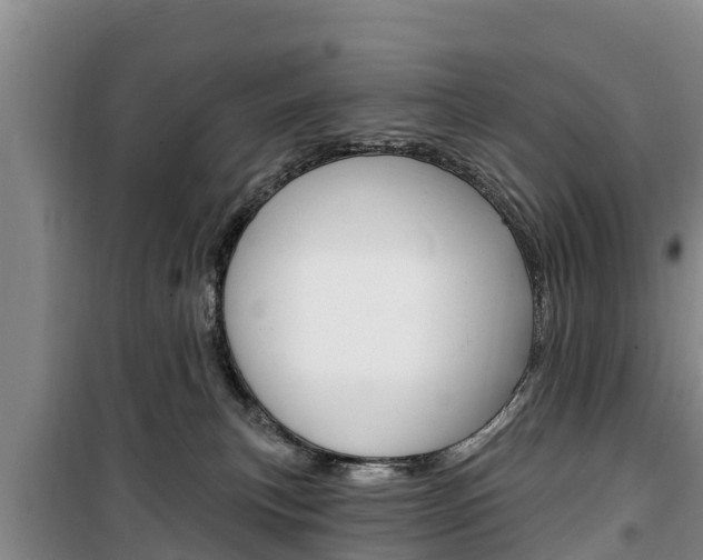 X0000100360183200806060831