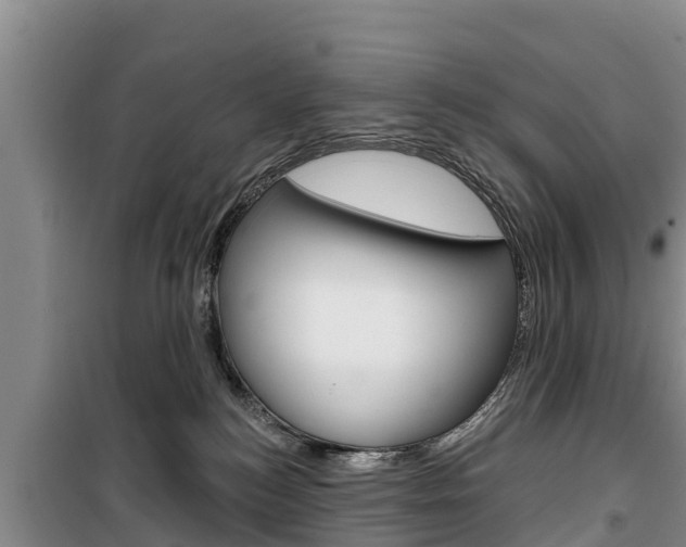 X0000100360184200806060831