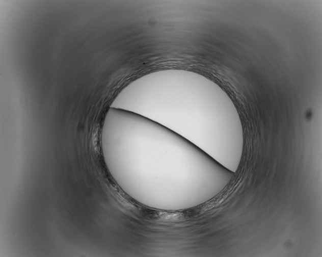 X0000100360185200806060831