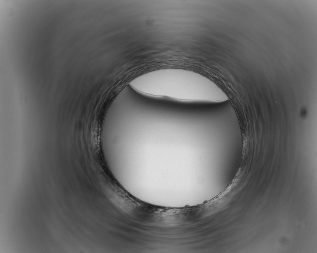 X0000100360186200806060831