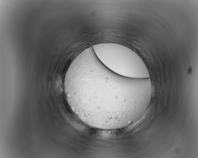 X0000100360187200806060831