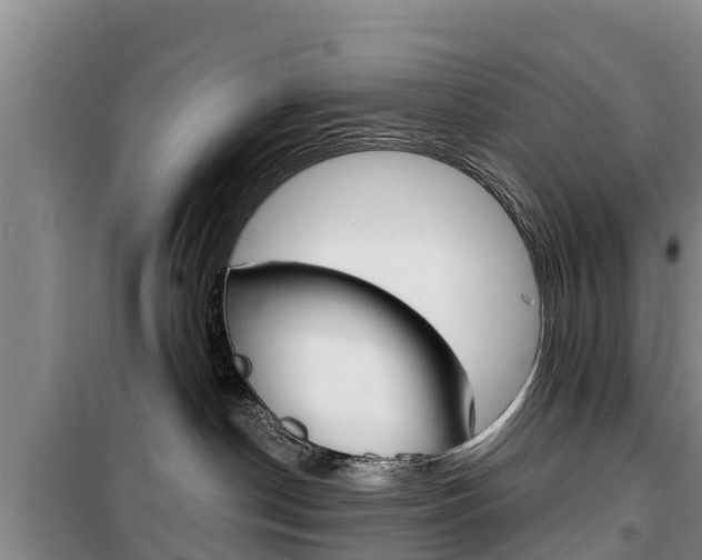 X0000100360190200806060831