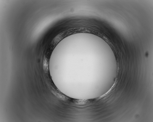 X0000100360191200806060831