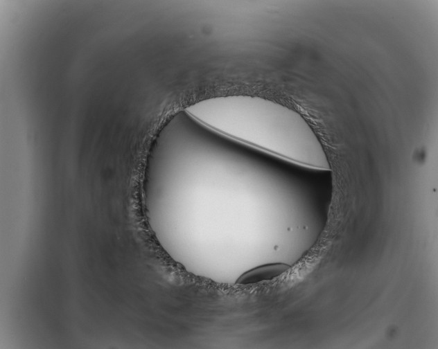 X0000100360192200806060831