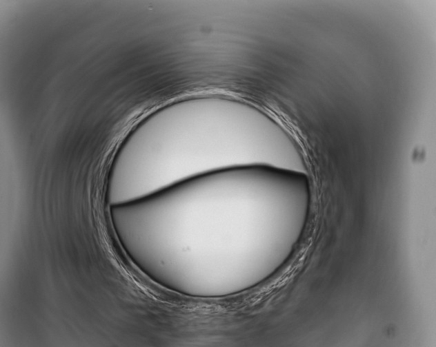 X0000100360193200806060830
