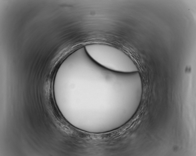X0000100360194200806060830