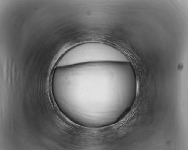 X0000100360195200806060830