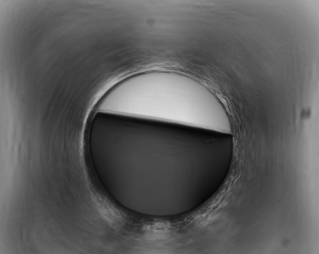 X0000100360196200806060830
