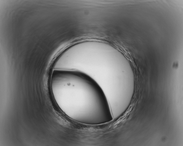 X0000100360197200806060830