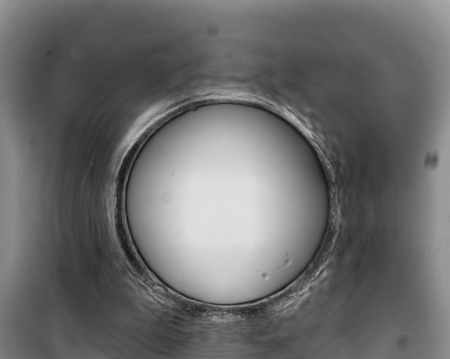 X0000100360199200806060830
